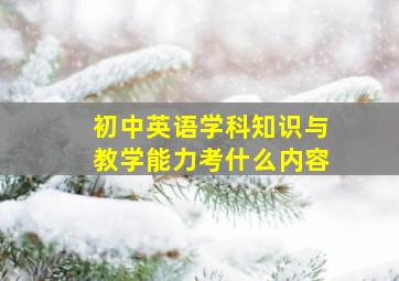 初中英语学科知识与教学能力考什么内容