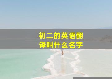 初二的英语翻译叫什么名字