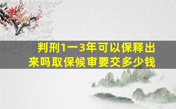 判刑1一3年可以保释出来吗取保候审要交多少钱