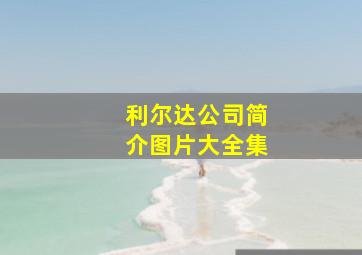 利尔达公司简介图片大全集