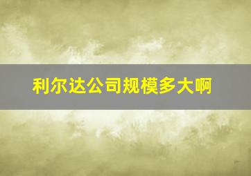 利尔达公司规模多大啊