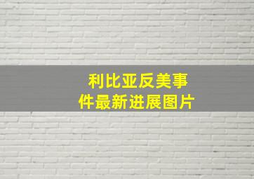 利比亚反美事件最新进展图片