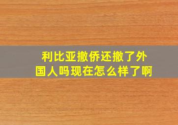 利比亚撤侨还撤了外国人吗现在怎么样了啊