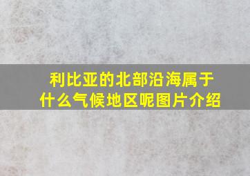 利比亚的北部沿海属于什么气候地区呢图片介绍