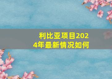 利比亚项目2024年最新情况如何