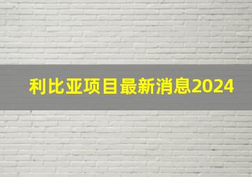 利比亚项目最新消息2024