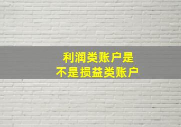 利润类账户是不是损益类账户