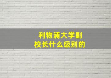 利物浦大学副校长什么级别的