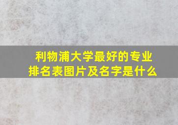 利物浦大学最好的专业排名表图片及名字是什么