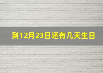 到12月23日还有几天生日