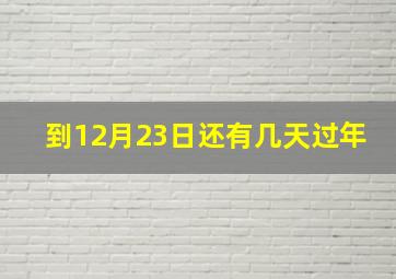 到12月23日还有几天过年