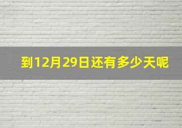 到12月29日还有多少天呢