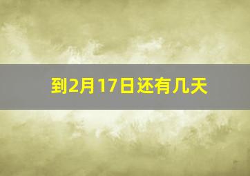 到2月17日还有几天