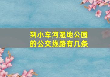 到小车河湿地公园的公交线路有几条