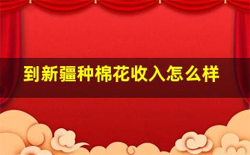 到新疆种棉花收入怎么样