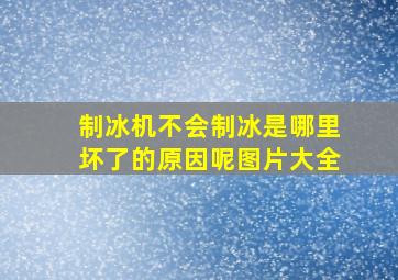 制冰机不会制冰是哪里坏了的原因呢图片大全