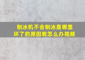 制冰机不会制冰是哪里坏了的原因呢怎么办视频