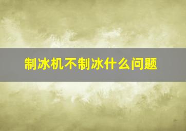 制冰机不制冰什么问题