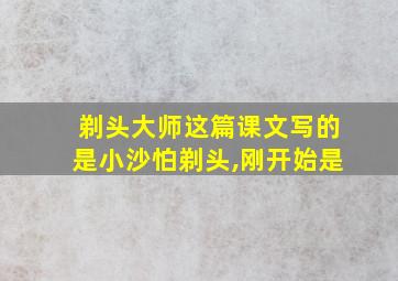 剃头大师这篇课文写的是小沙怕剃头,刚开始是