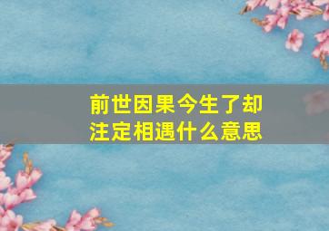 前世因果今生了却注定相遇什么意思