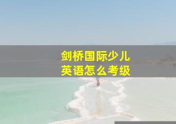 剑桥国际少儿英语怎么考级