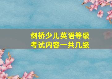 剑桥少儿英语等级考试内容一共几级