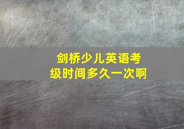 剑桥少儿英语考级时间多久一次啊