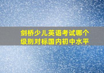 剑桥少儿英语考试哪个级别对标国内初中水平