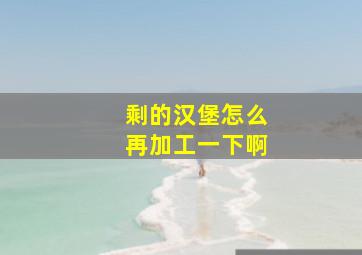 剩的汉堡怎么再加工一下啊