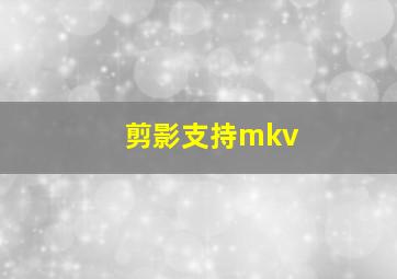 剪影支持mkv