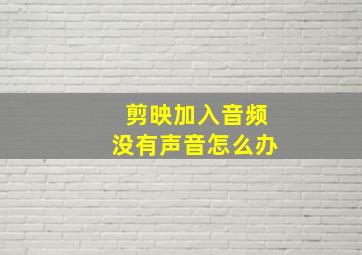 剪映加入音频没有声音怎么办