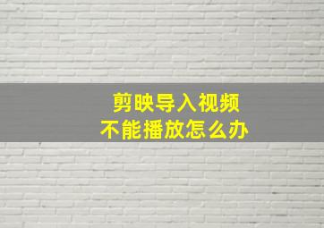 剪映导入视频不能播放怎么办