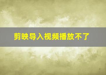 剪映导入视频播放不了