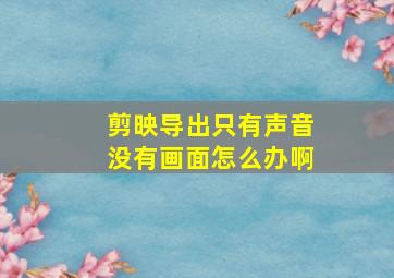 剪映导出只有声音没有画面怎么办啊