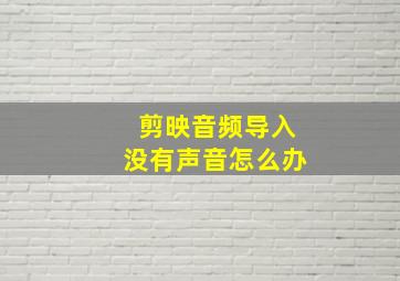 剪映音频导入没有声音怎么办