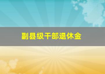 副县级干部退休金