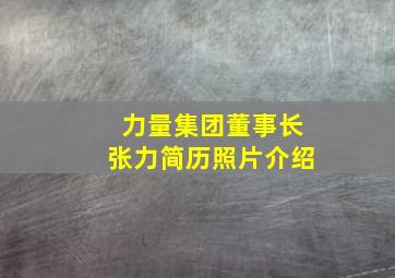 力量集团董事长张力简历照片介绍