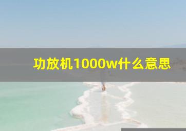 功放机1000w什么意思