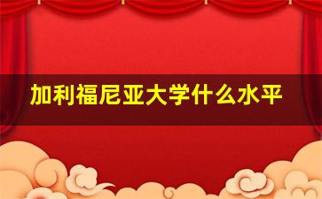 加利福尼亚大学什么水平