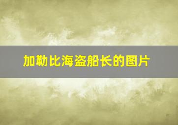 加勒比海盗船长的图片