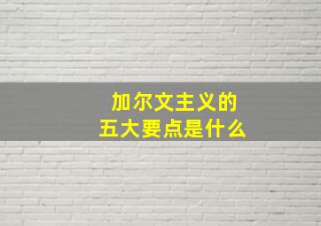 加尔文主义的五大要点是什么