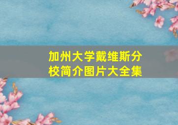 加州大学戴维斯分校简介图片大全集