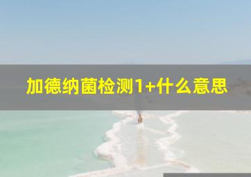 加德纳菌检测1+什么意思