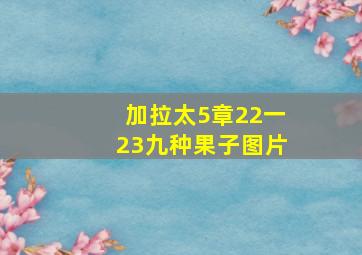 加拉太5章22一23九种果子图片