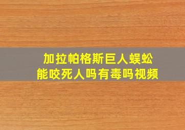 加拉帕格斯巨人蜈蚣能咬死人吗有毒吗视频