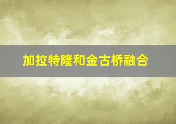 加拉特隆和金古桥融合