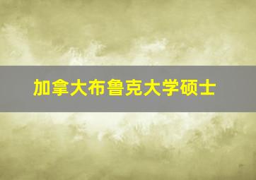 加拿大布鲁克大学硕士