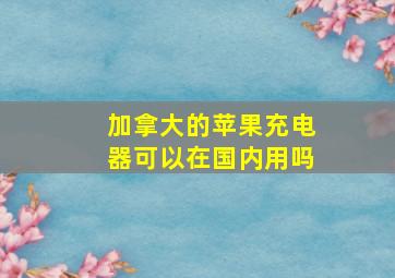 加拿大的苹果充电器可以在国内用吗