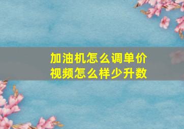 加油机怎么调单价视频怎么样少升数