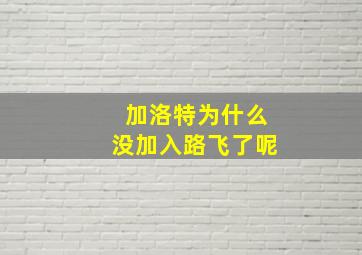 加洛特为什么没加入路飞了呢